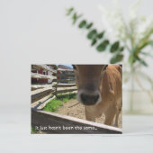 Carte Postale Invitation du Groupe Jeunesse (Debout devant)