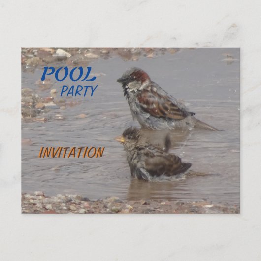 Carte postale Invitation Fête des Éperons de bain  (Devant)