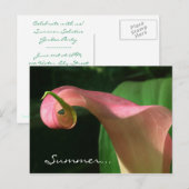 Carte Postale Invitation Floral Summer Solstice Party (Devant / Derrière)