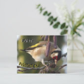 Carte postale Invitation Goldfinch Party (Debout devant)