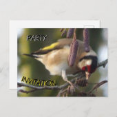 Carte postale Invitation Goldfinch Party (Devant / Derrière)