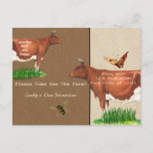 Carte Postale Invitation Guernsey Cow (Dos)
