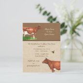 Carte Postale Invitation Guernsey Cow (Debout devant)
