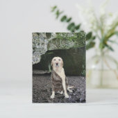 Carte Postale Invitation Man Cave (Debout devant)