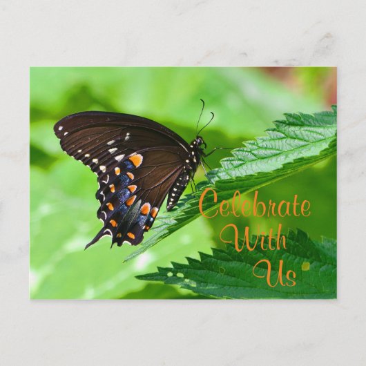 Carte Postale Invitation papillon (Devant)