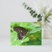 Carte Postale Invitation papillon (Debout devant)