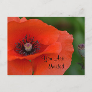 Carte Postale Invitation Red Poppy