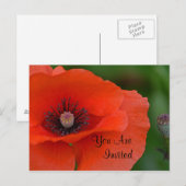 Carte Postale Invitation Red Poppy (Devant / Derrière)