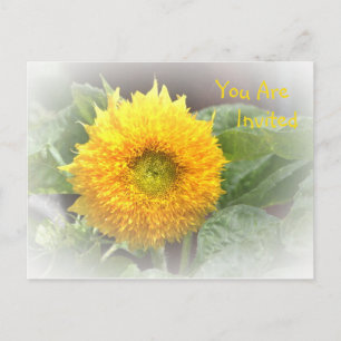 Carte Postale Invitation Tournesol