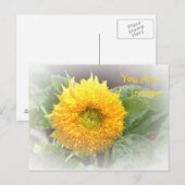 Carte Postale Invitation Tournesol (Devant / Derrière)