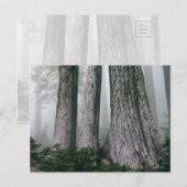 Carte Postale Invoquer la forêt (Devant / Derrière)