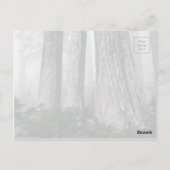 Carte Postale Invoquer la forêt (Dos)