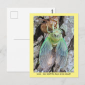 Carte Postale Iowa Cicada émerge d'une coquille (Devant / Derrière)