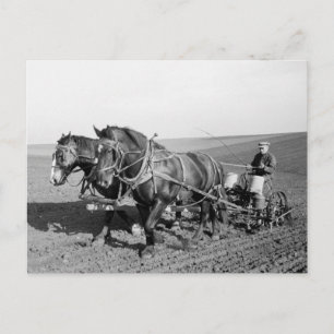 Carte Postale Iowa Corn Planter, années 1940