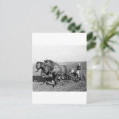 Carte Postale Iowa Corn Planter, années 1940 (Debout devant)