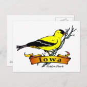 Carte Postale Iowa Goldfinch (Devant / Derrière)