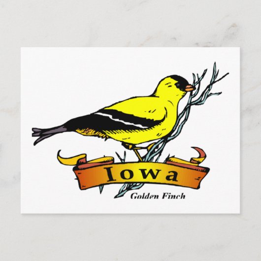 Carte Postale Iowa Goldfinch (Devant)