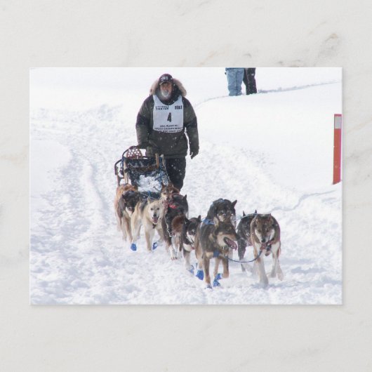 Carte postale IPcture Perfect 2009 UP 200 (Devant)