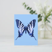 Carte postale Iphiclides podalirius (Debout devant)