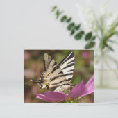 Carte Postale Iphiclides podalirius (Debout devant)