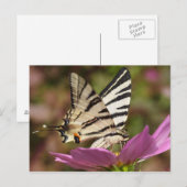 Carte Postale Iphiclides podalirius (Devant / Derrière)
