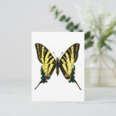 Carte Postale Iphiclides podalirius (Debout devant)