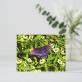 Carte Postale Iridescente Bleu violet avec ailes de papillon noi (Debout devant)