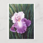 Carte postale Iris (Devant)
