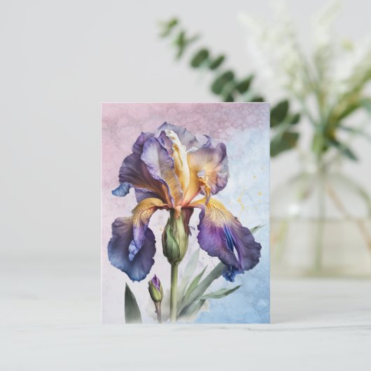 Carte Postale Iris (Debout devant)