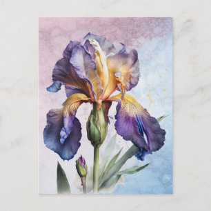 Carte Postale Iris