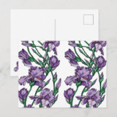 Carte Postale Iris (Devant / Derrière)