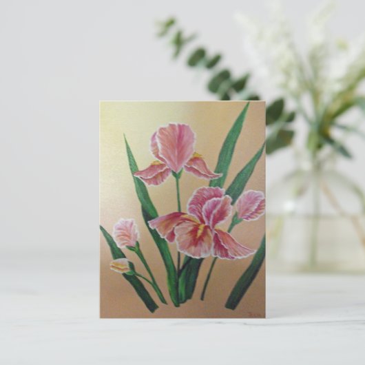 Carte postale Iris (Debout devant)