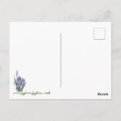 Carte Postale Iris (Dos)