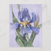 Carte Postale Iris (Devant)