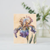 Carte Postale Iris (Debout devant)