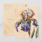Carte Postale Iris (Devant / Derrière)