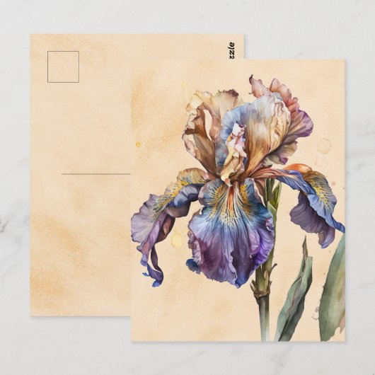 Carte Postale Iris (Devant / Derrière)