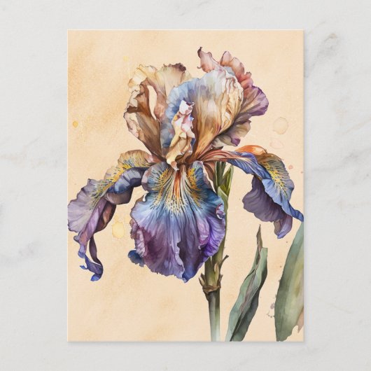 Carte Postale Iris (Devant)