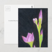 Carte postale Iris (Devant / Derrière)