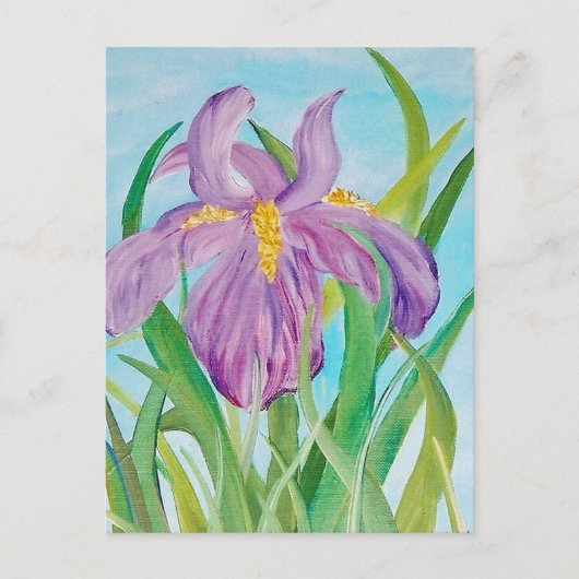 Carte postale Iris (Devant)