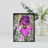 Carte postale Iris (Debout devant)