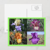 Carte postale Iris (Devant / Derrière)