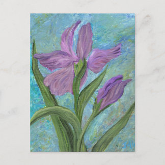 Carte postale Iris