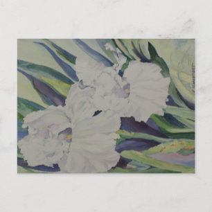 Carte postale Iris