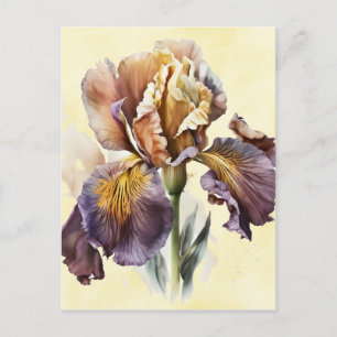 Carte Postale Iris