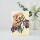 Carte Postale Iris (Debout devant)