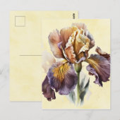 Carte Postale Iris (Devant / Derrière)