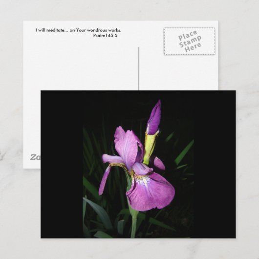 CARTE POSTALE IRIS (Devant / Derrière)