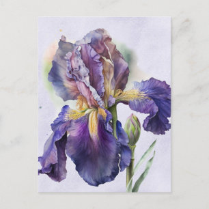 Carte Postale Iris