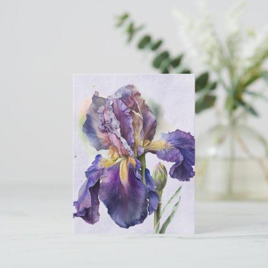 Carte Postale Iris (Debout devant)